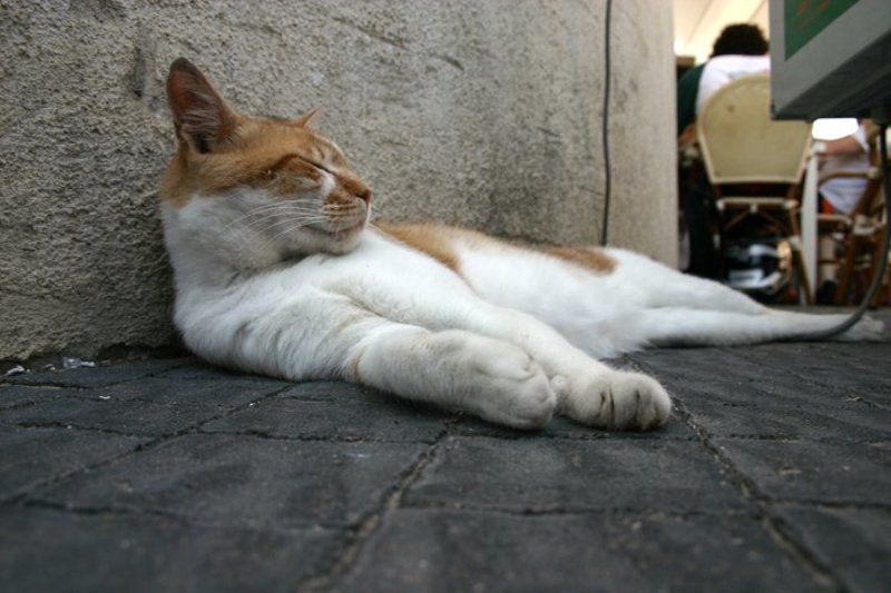 igalsc, genre (*^*^*) фото превью