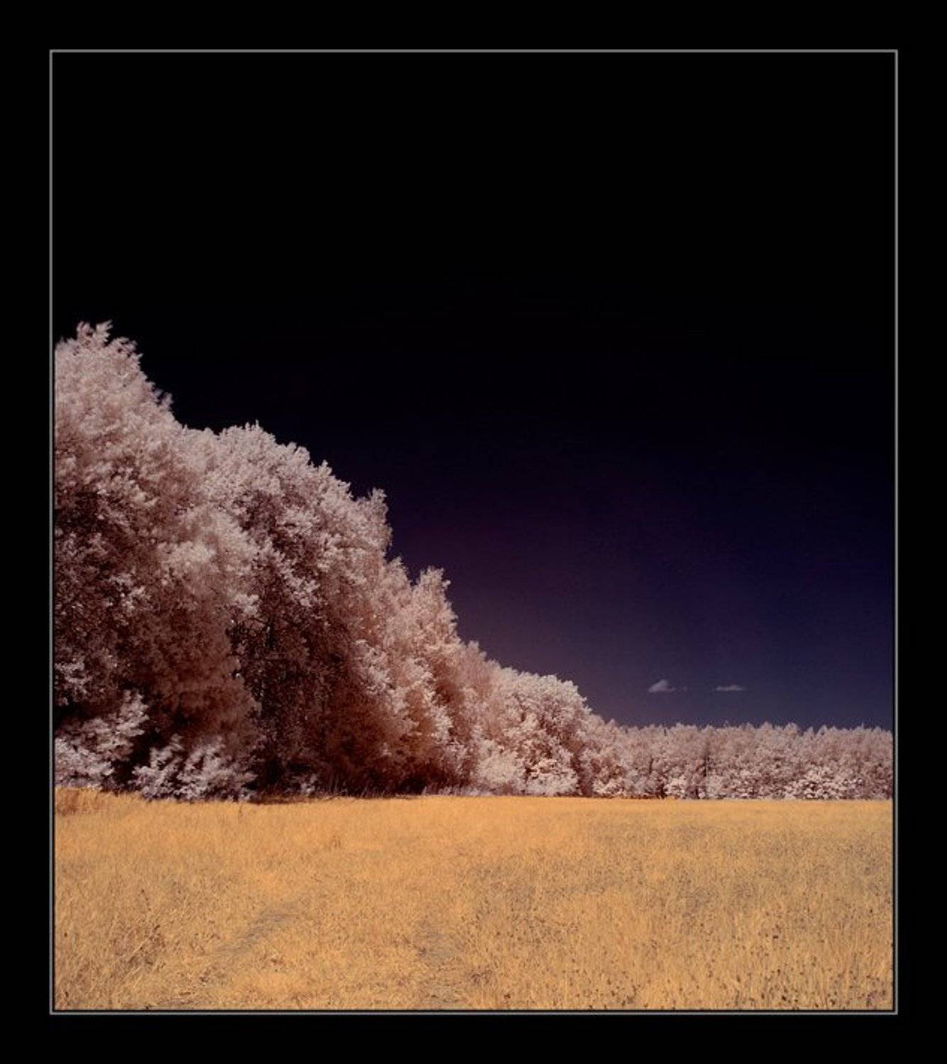 infrared, ик, инфра, Капустин Николай