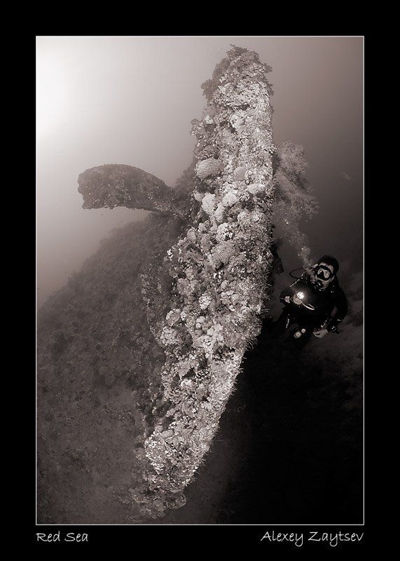 зайцев, затонувший корабль, винт, рулевое оперение, дайвер Dunraven фото превью