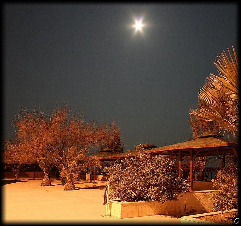 турция, айвалык, ночь, луна, начало, апреля, не сезон, отель Ночь. Луна. Отель. Не сезон. фото превью