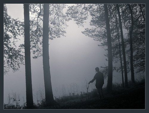 утром на Трояссах...