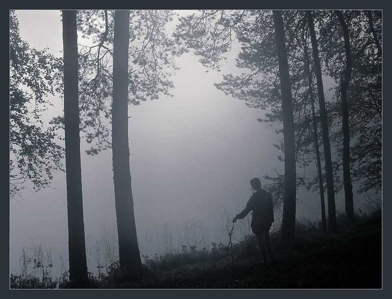 селигер утром на Трояссах... фото превью