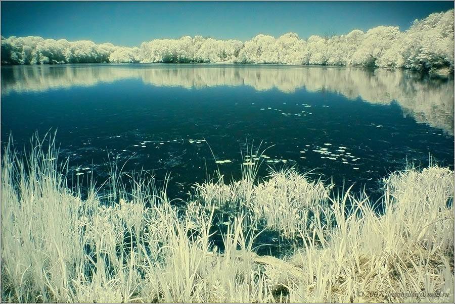 ик, пейзаж, infrared, инфракрасный, Pilgrim