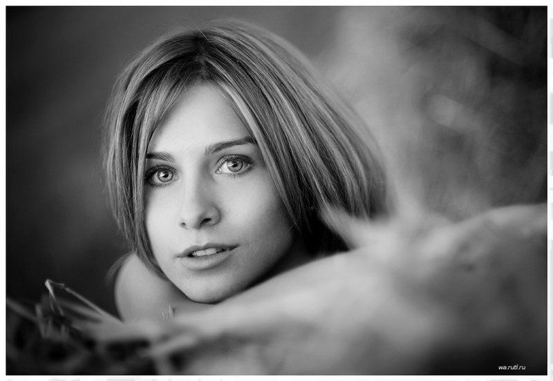 On August\'s fields фото превью