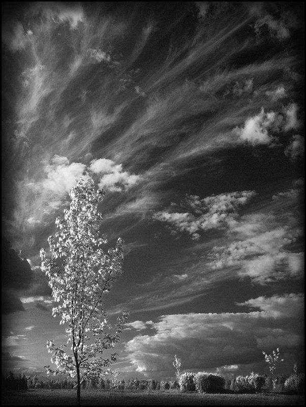 Что выше горизонта фото превью