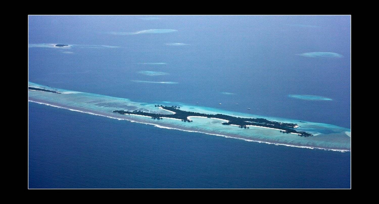 , Сергей Милицкий