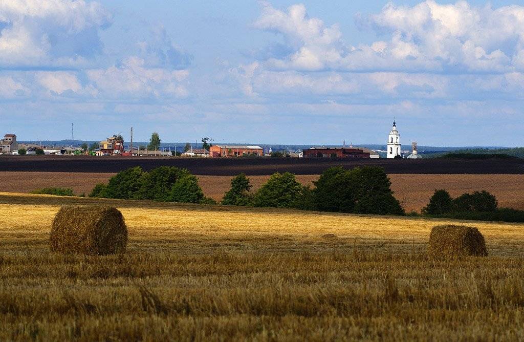 , Владислав.