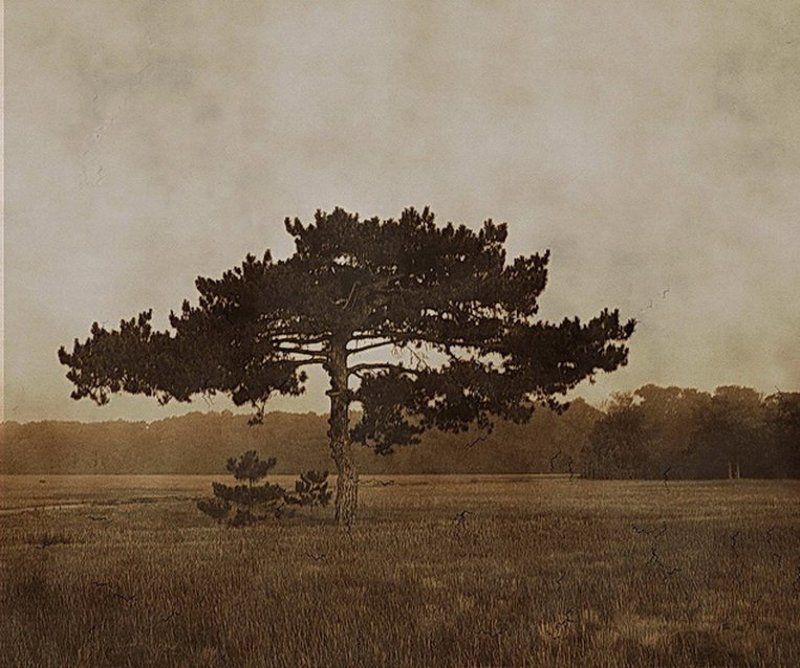 ,,/,, фото превью