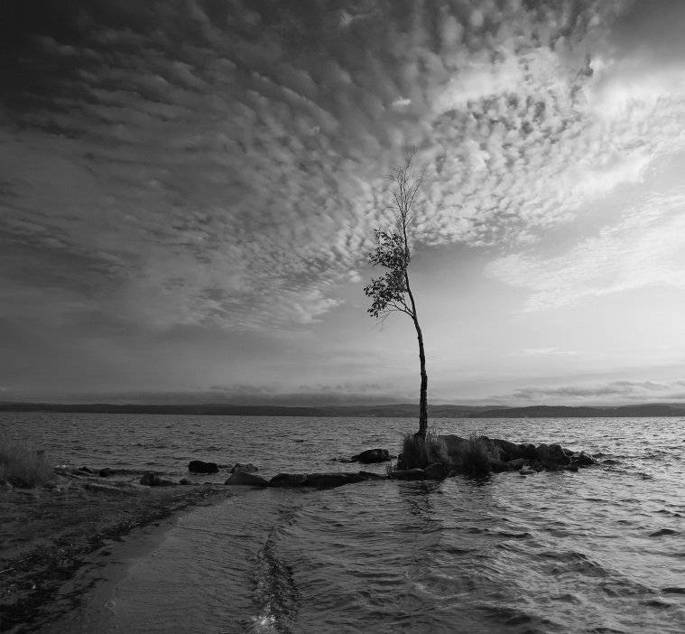 , Эдуард VTORNIK  Николаев