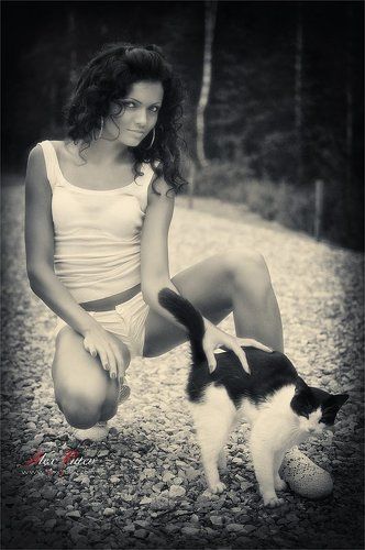 Мой ласковый и нежный зверь