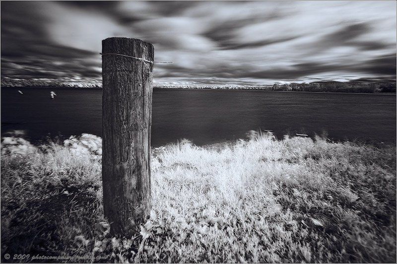 ик, infrared, инфракрасный One of these days... фото превью