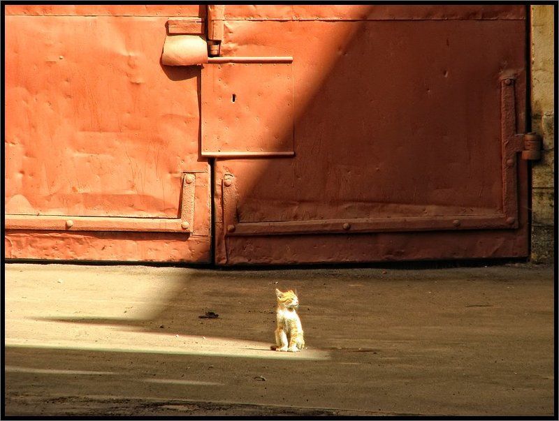 Солнечные ванны фото превью