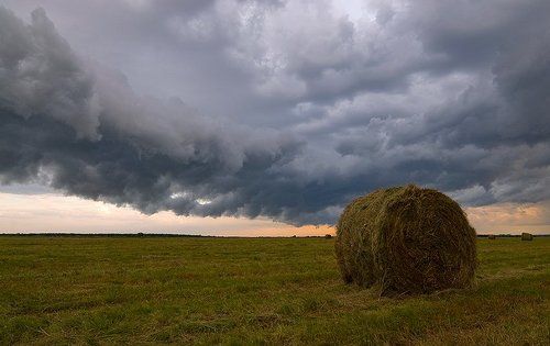 Гроза надвигается