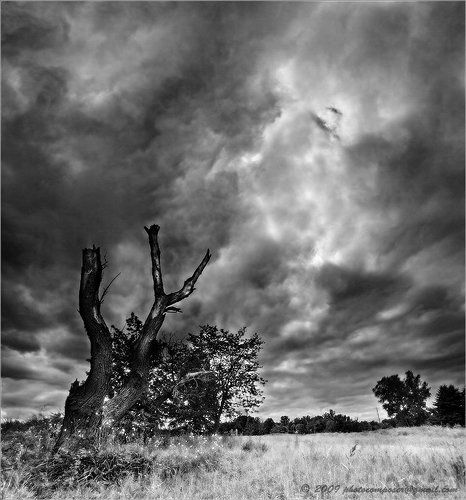 When sky is going down