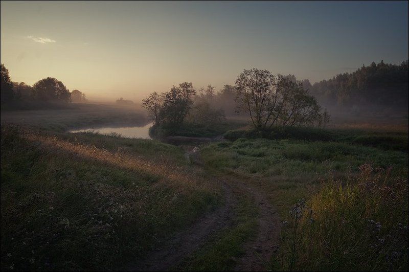 Цветная утренняя летняя картинка с видом сверху на речку за Кузнецово в первых лучах солнца фото превью