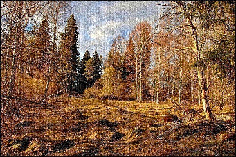 швеция,весна,пейзаж,скандинавия,природа, Елена