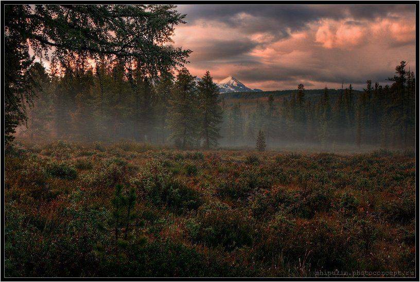 туман,туманы,гора,горы,алтай,акташ,улаган,шипулин,владимир,фотограф,томск, Vladim_Shipulin