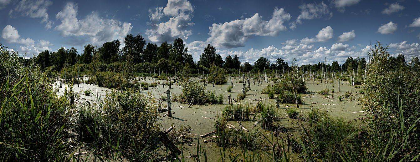 , Олег Обухов