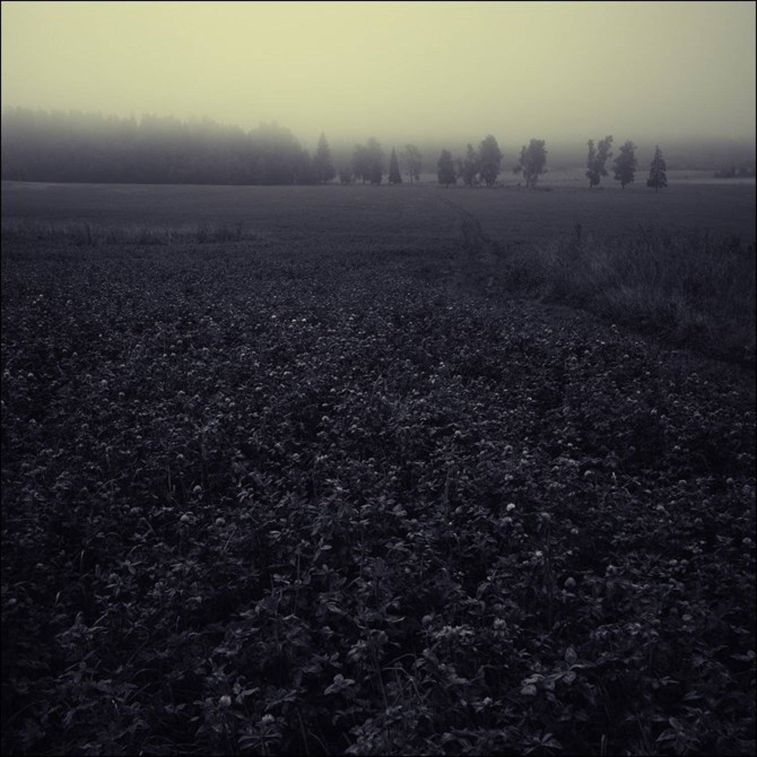 , Сергей Чубаров