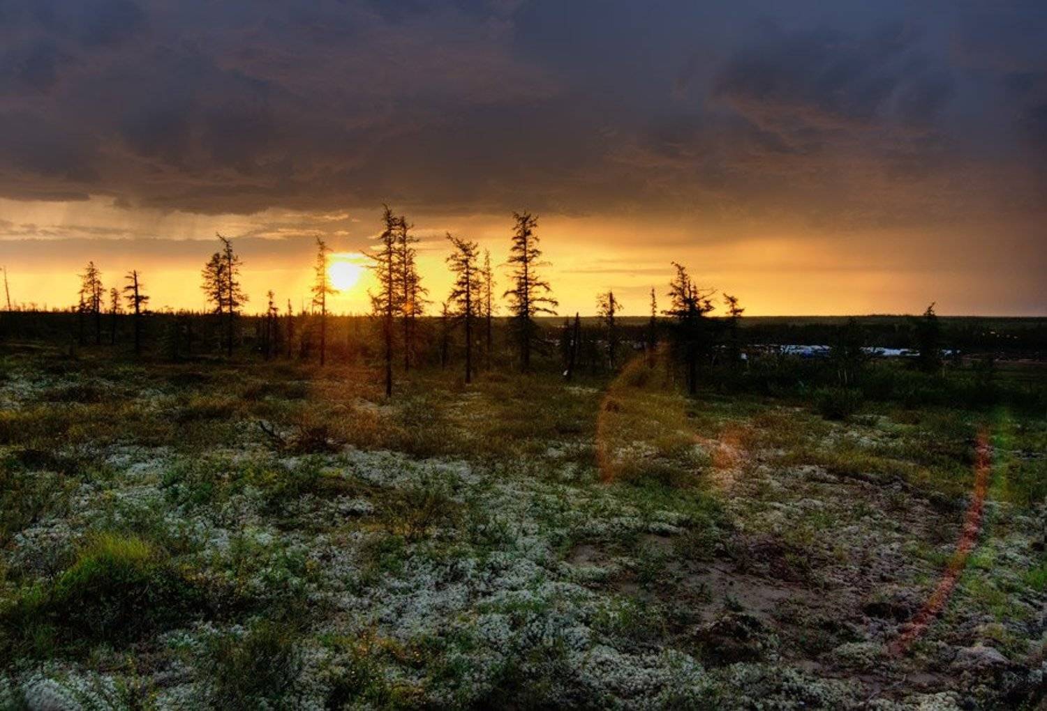 , Дмитрий Милосердов