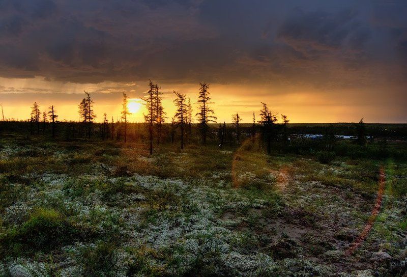 Ночь в полярный день фото превью