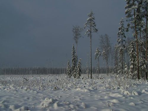 Зимнее затишье