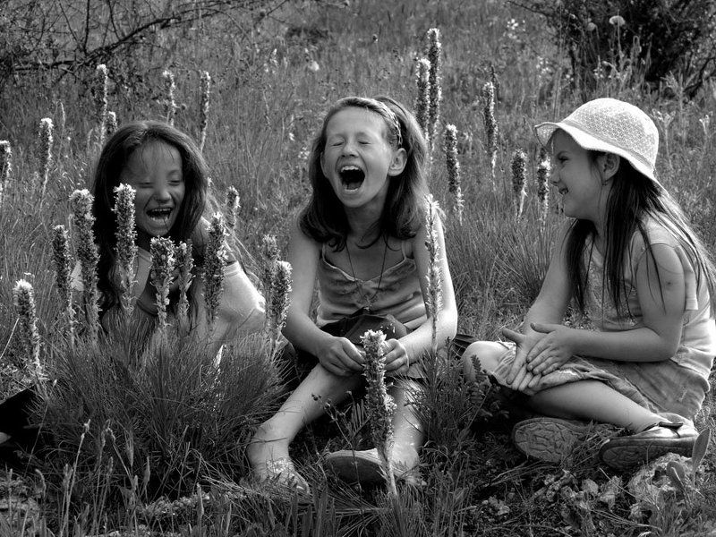 Дети Фиолента 2 фото превью