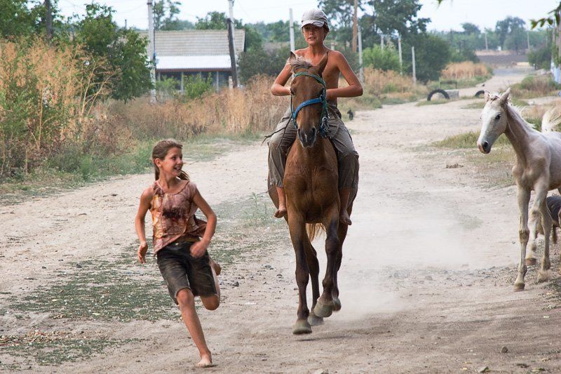 Салки по - деревенски фото превью