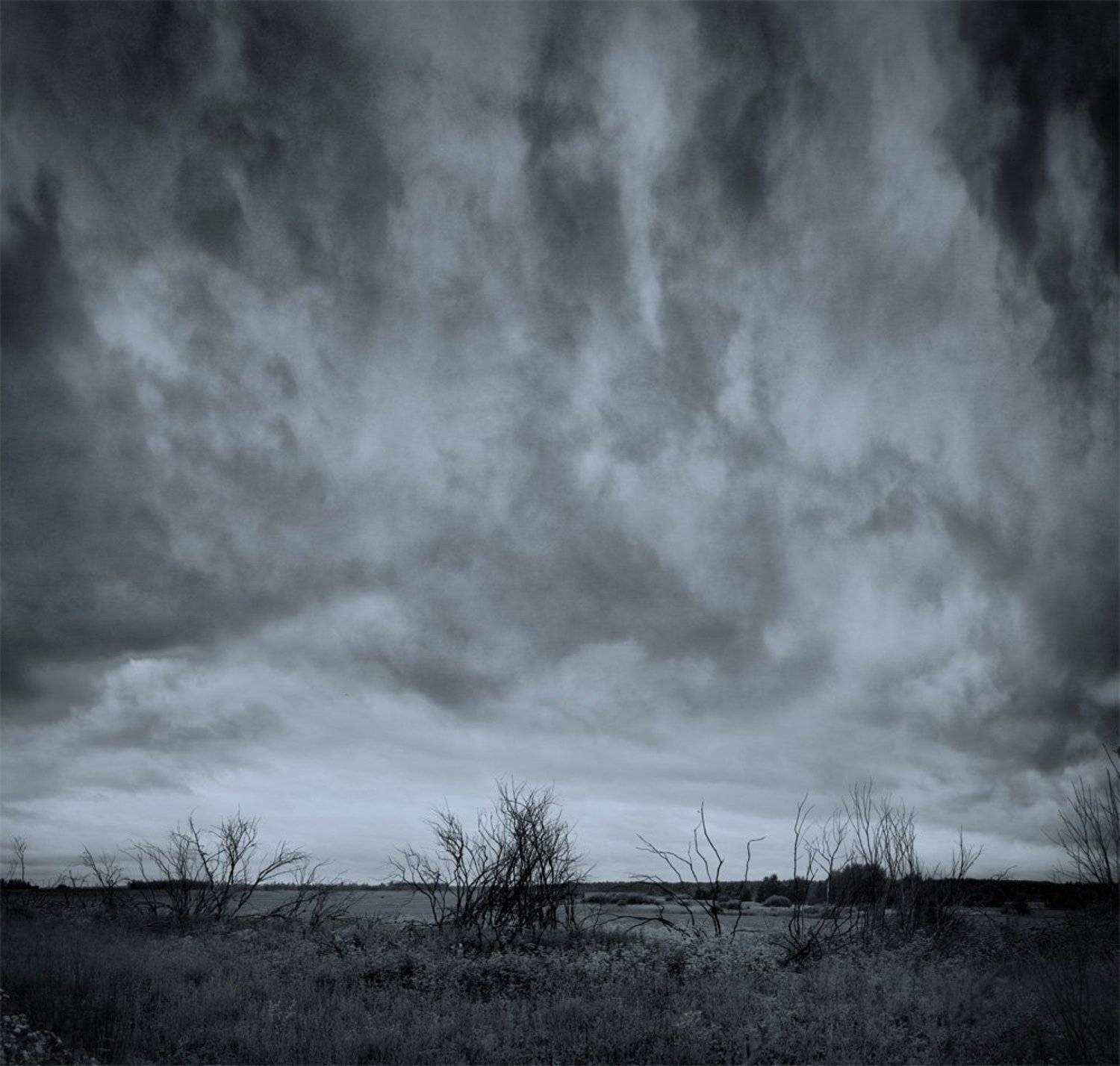 верви, Владимир Кириченко (vlkira)