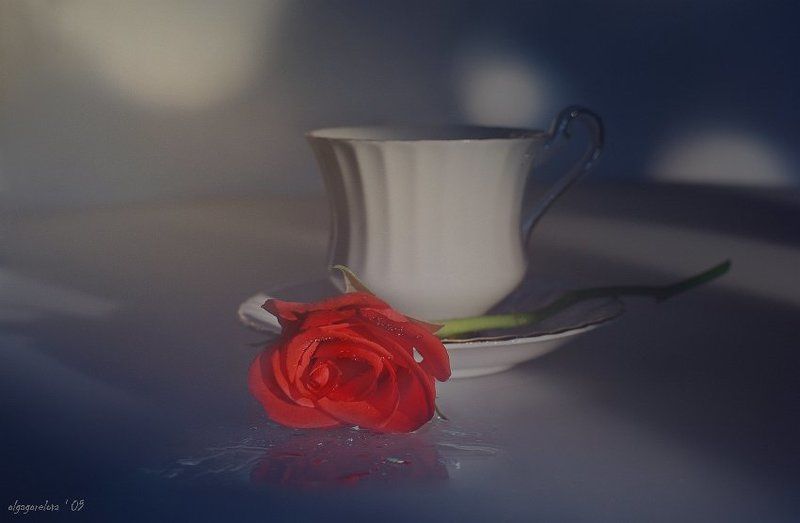 фото, розы, красная, натюрморт утро нежных слов... фото превью