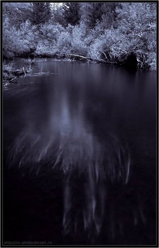 пожар,пожары,огонь,огни,трава,травы,река,реки,ик,ir,шипулин,владимир,томск,фотограф,природа, Vladim_Shipulin