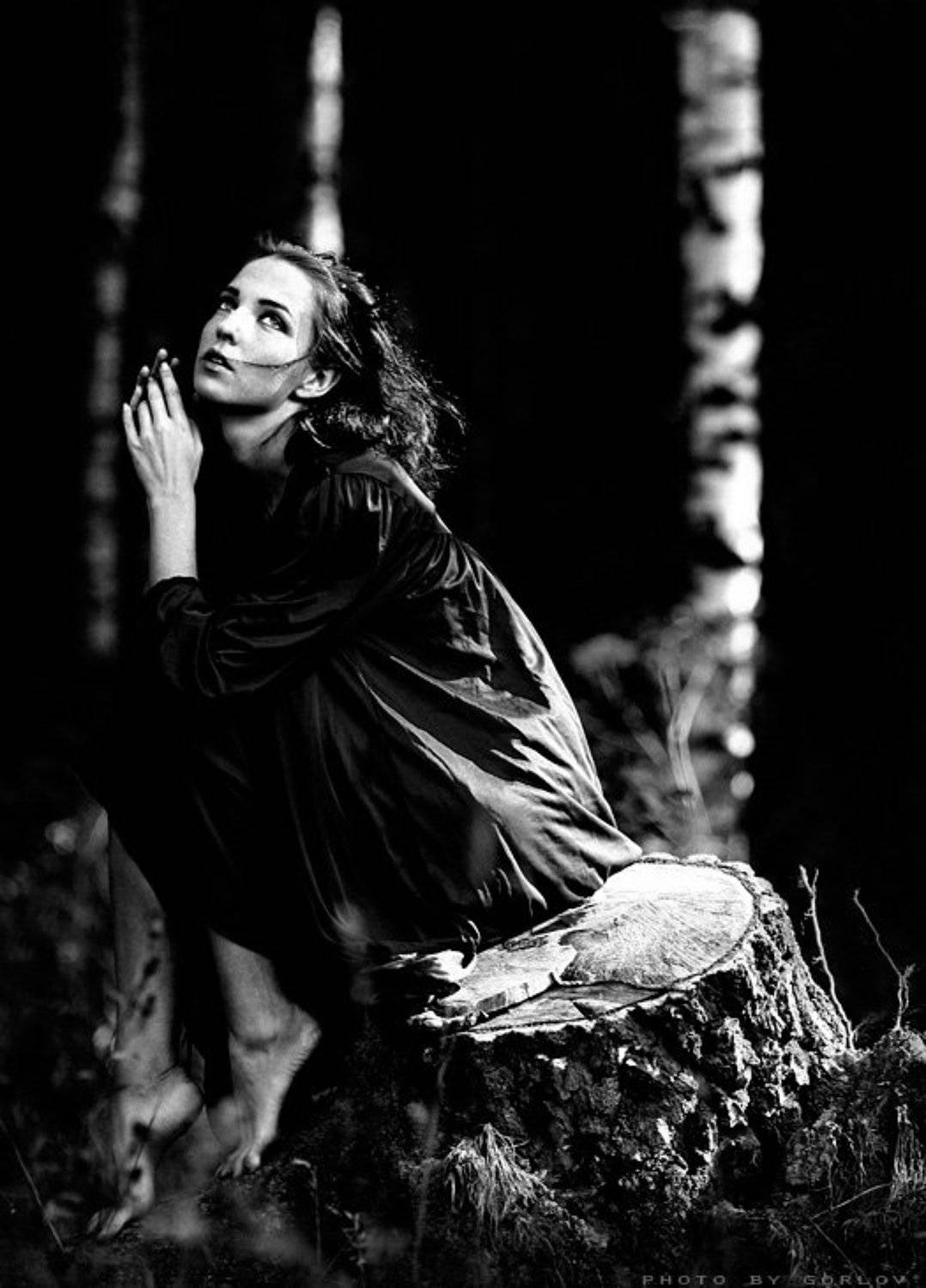 , Александр Горлов