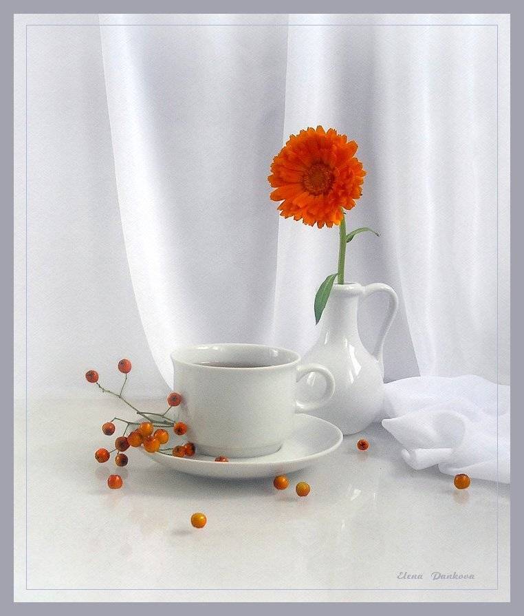 натюрморт, рябина, чашка, чай, Elena Pankova