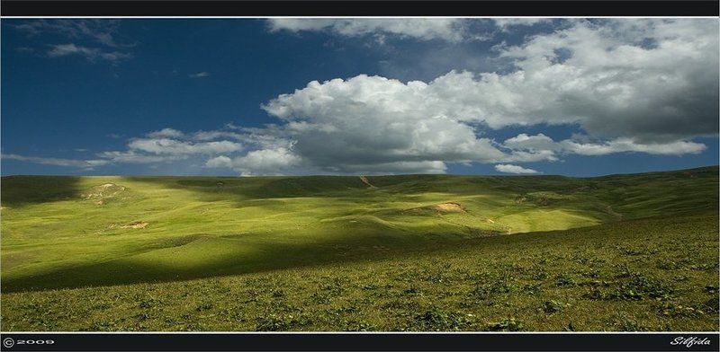 Тени исчезают в полдень. фото превью