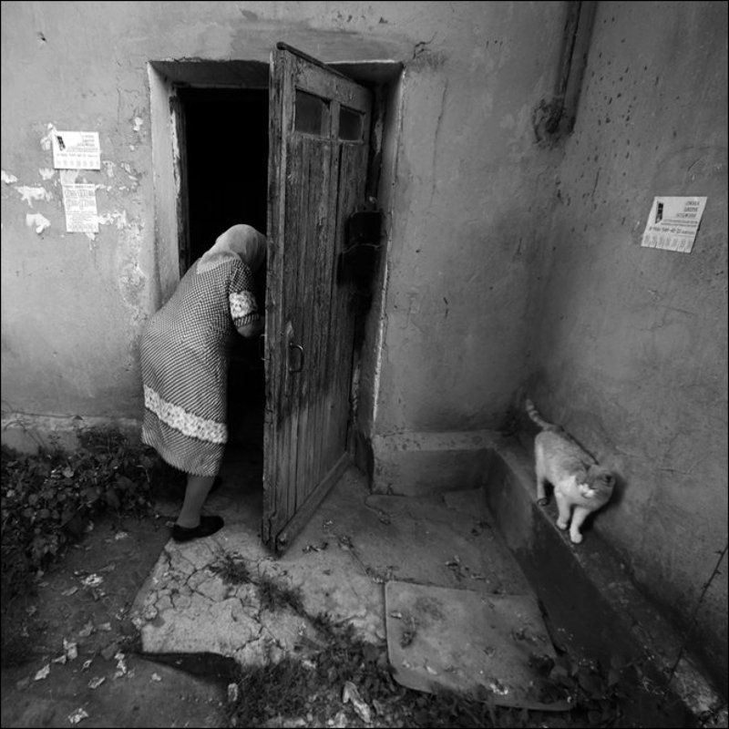 квадратная чб картинка с бабушкой и рыжей кошкой у подъезда в Озерках фото превью