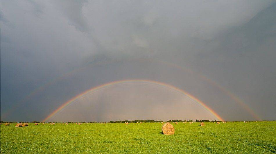 лето, сенокос, катушки, поле, радуга, тучи, Partner (Андрей Алексеев)