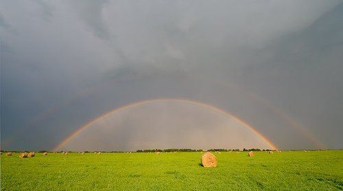 Серия 