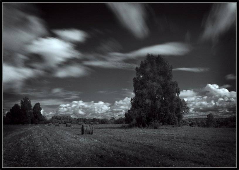 стог,стога,дерево,деревья,берёза,берёзы,время,времена,облако,облака,владимир,шипулин,фотограф,томск, Vladim_Shipulin