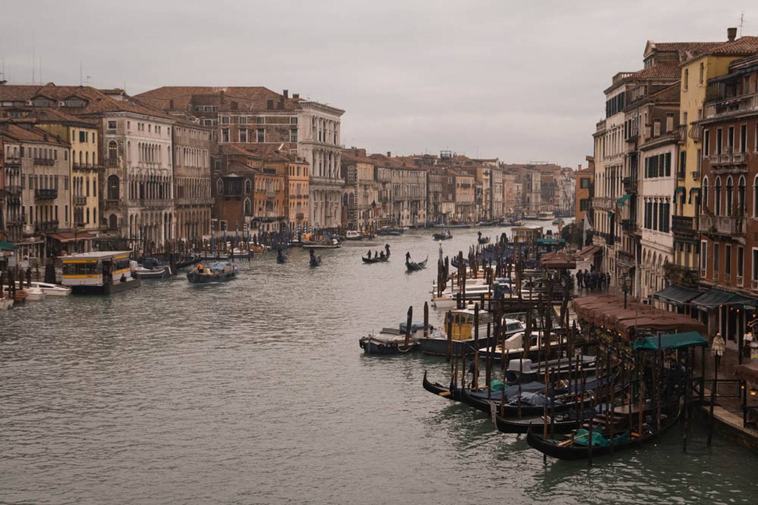 венеция, Дмитрий (Laskoviyveter)