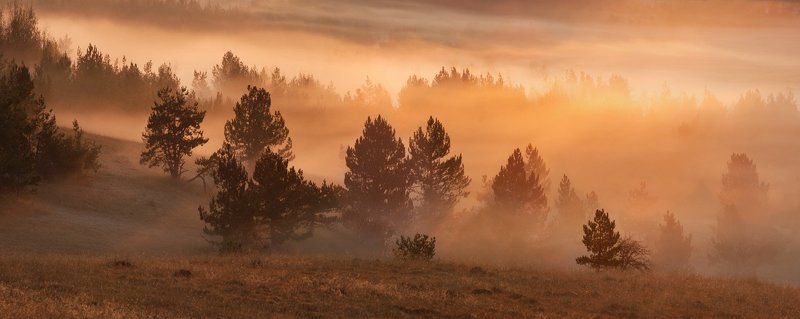 туман,утро,крым туман на плато Ай петри-3 фото превью