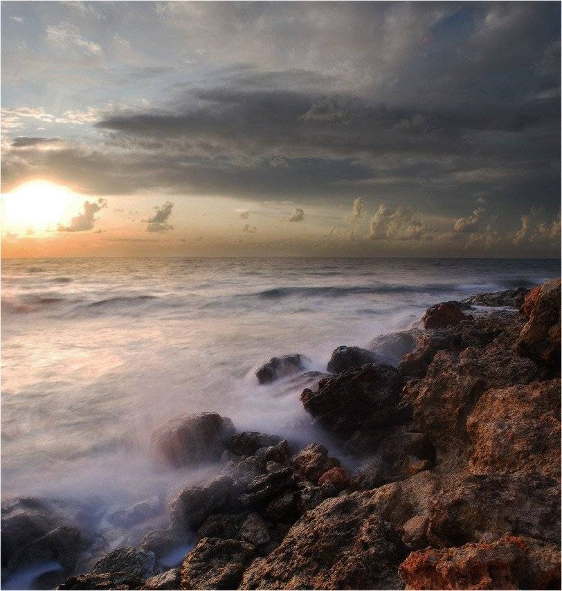 , Яна  Гайворонская