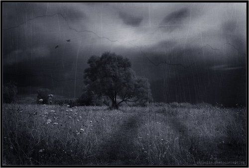 The way to the underworld...