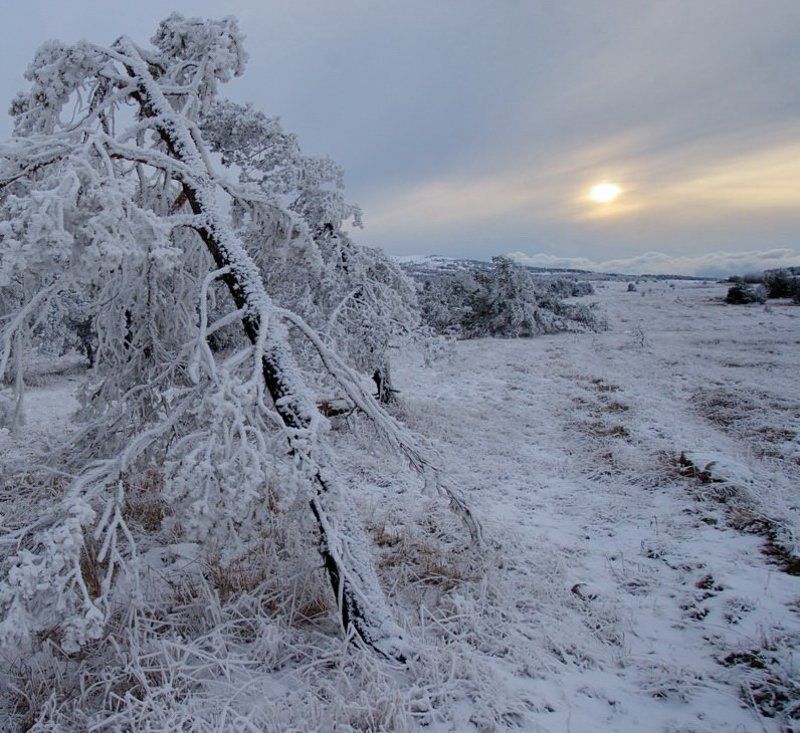 зима ,крым крымская зима на плато Ай петри фото превью