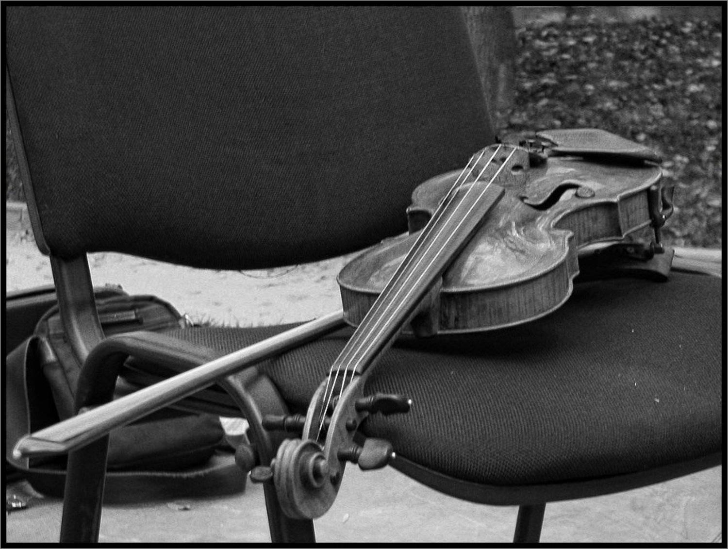 , Лунный Ежик