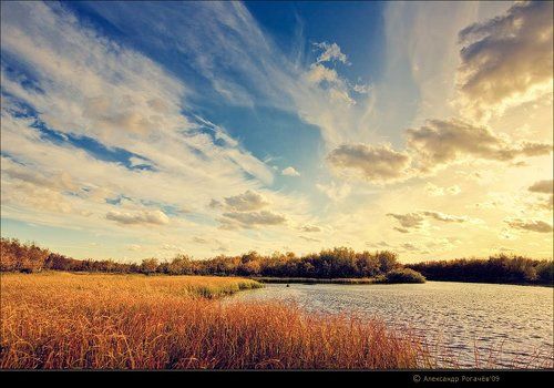 Осень-осень...