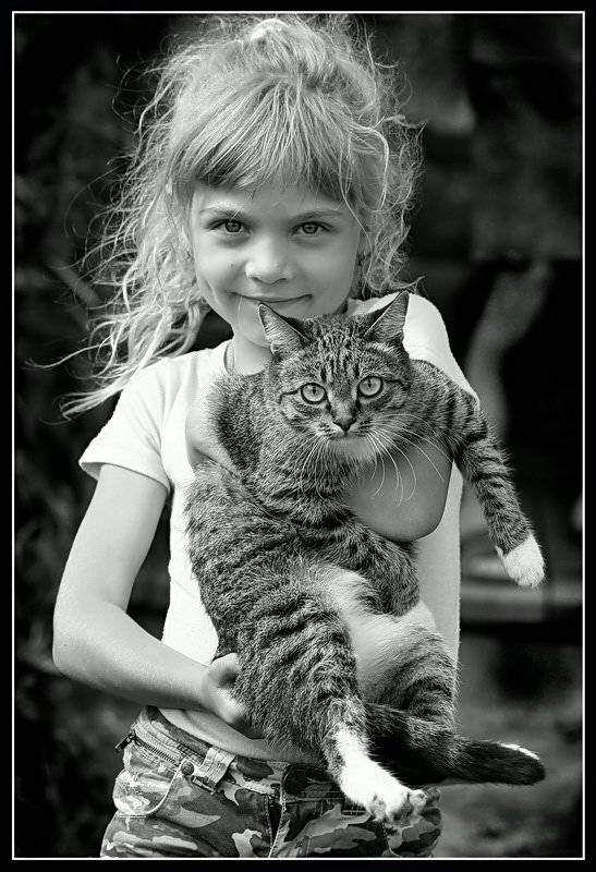 , Васенин Валерий