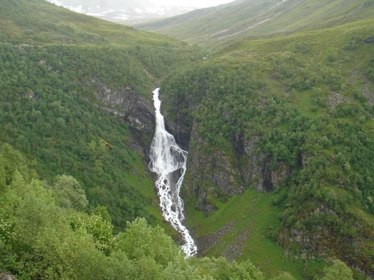 воспоминания, о, прошедшем, Liz