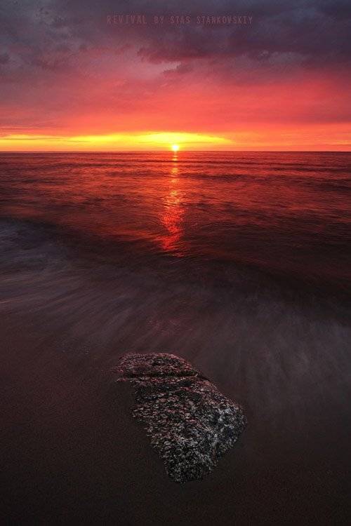 , Станислав Станьковский