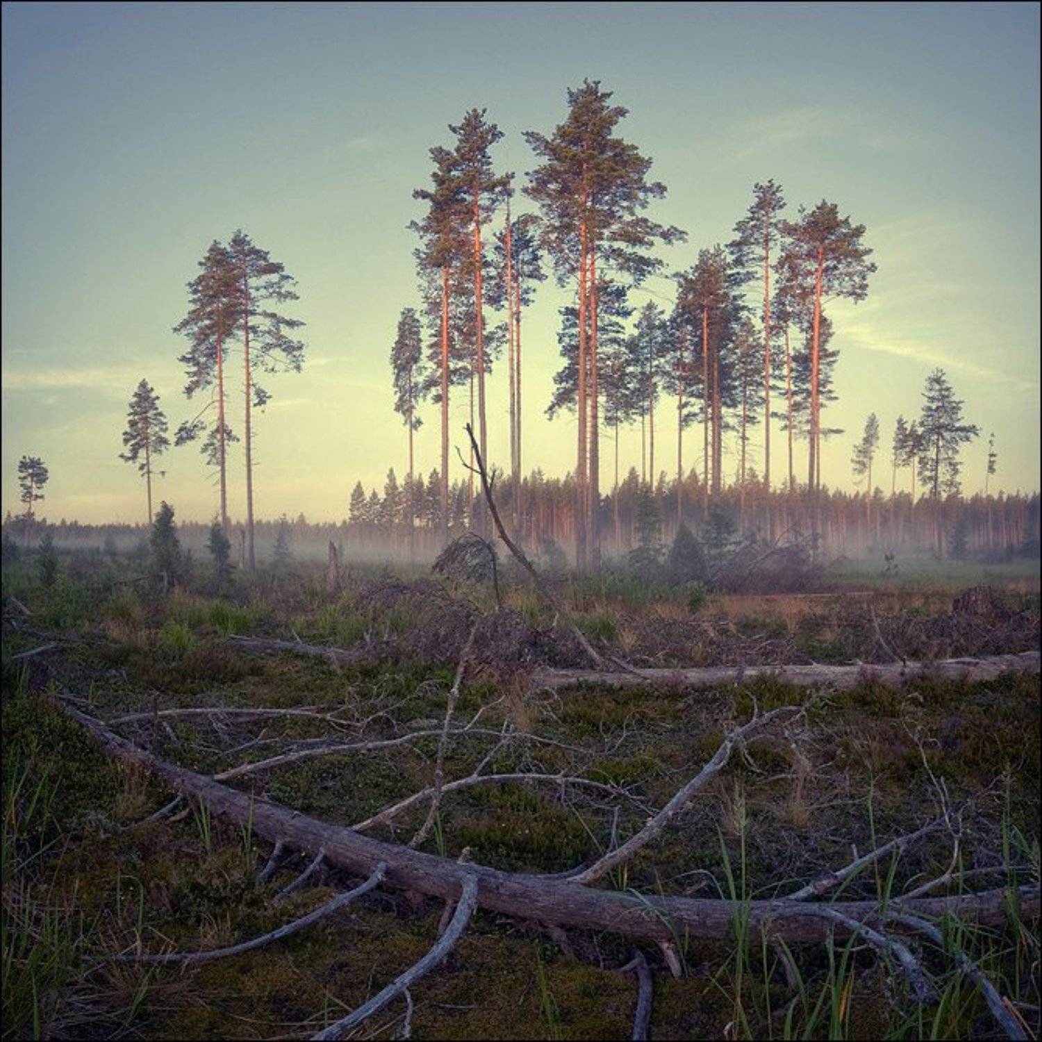 , Сергей Чубаров