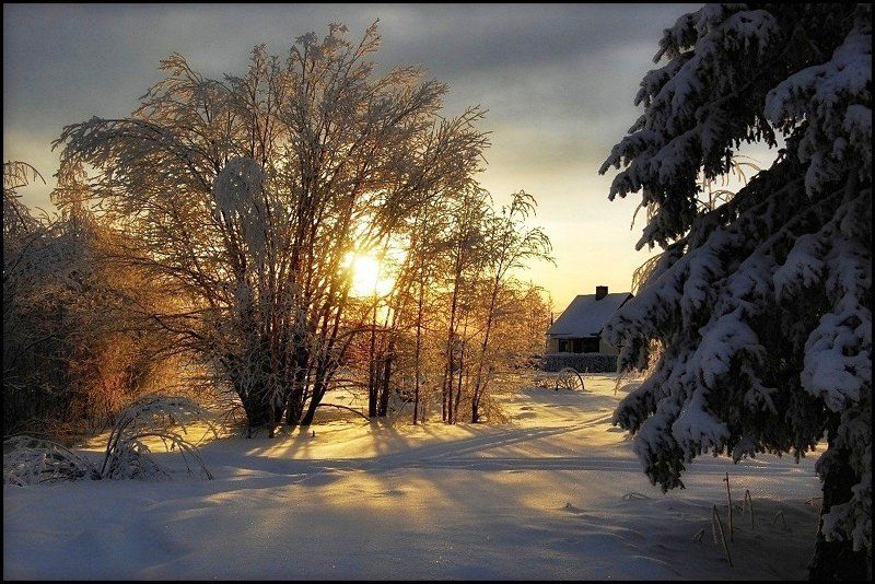 швеция,скандинавия,заполярье,зима,природа,пейзаж Утро фото превью